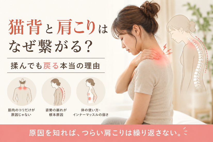 猫背と肩こりはなぜ繋がる？揉んでも戻る本当の理由 なぎの木整骨院